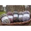 Signature 4-Ply Country Birds Sock Yarn -Textile Supply Store WYS CB 15295.1620934031