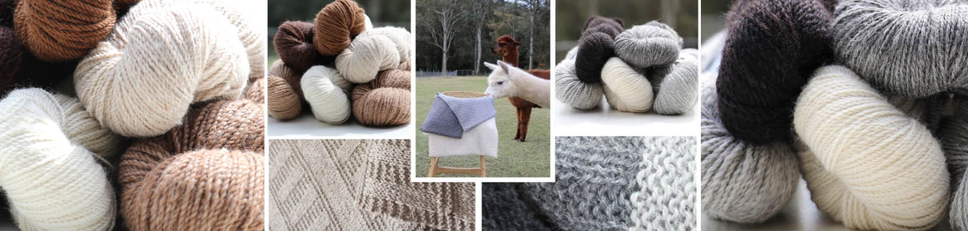 Textile Supply Store -Textile Supply Store DFGDG